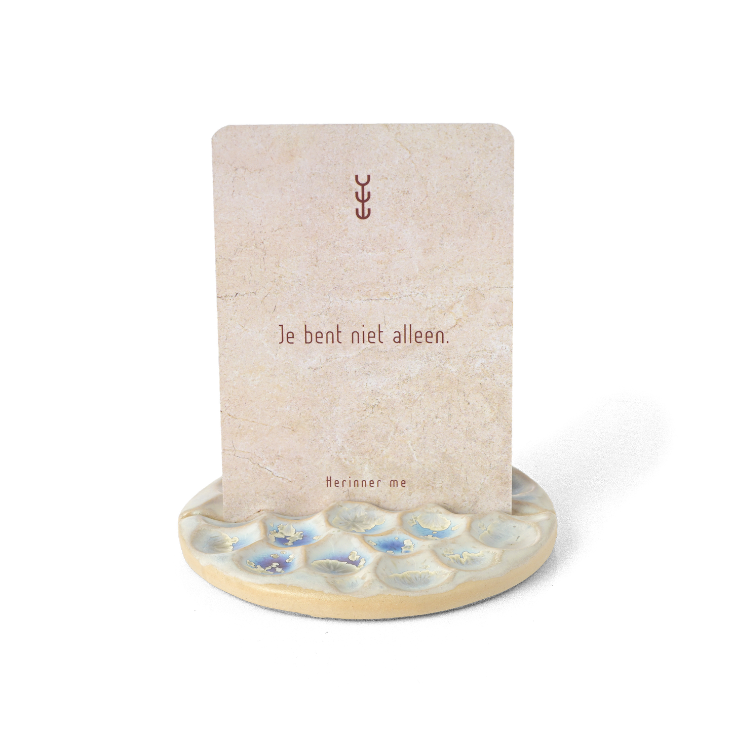 Salina kaarten-/foto houder